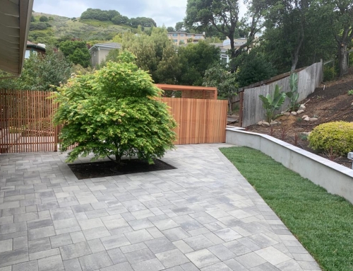 Understanding Hardscaping: Types, Cost-Effective Options, and Drawbacks