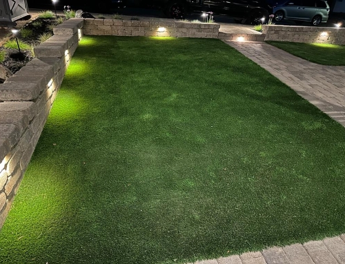 Unleashing the Best: Hardscaping Contractors and Synthetic Turf in San Francisco