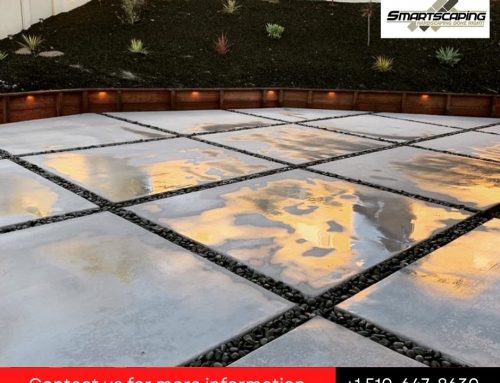 Concrete Paving vs. Traditional Paving: Which is Better for Your Berkeley Property?