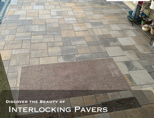 Unveiling The Beauty and Durability of Interlocking Pavers in Berkeley