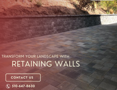 Exploring the Three Types of Retaining Walls: A Guide for Homeowners